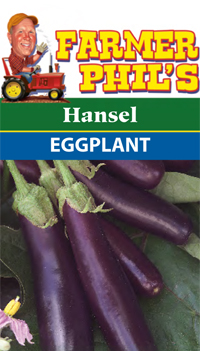 Farmer Phil's Hansel Eggplant