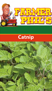 Farmer Phil's Catnip