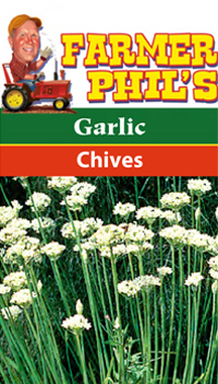 Farmer Phil's Garlic Chives