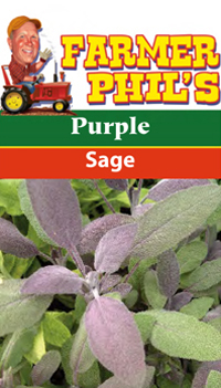 Farmer Phil's Purple Sage