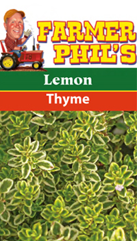 Farmer Phil's Lemon Thyme