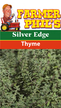 Farmer Phil's Silver Edge Thyme