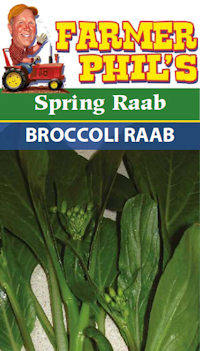 Farmer Phil's Spring Raab Broccoli Raab