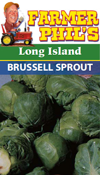 Farmer Phil's Long Island Brussel Sprout