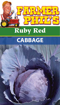 Farmer Phil's Ruby Red Cabbage