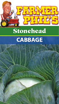 Farmer Phil's Stonehead Cabbage