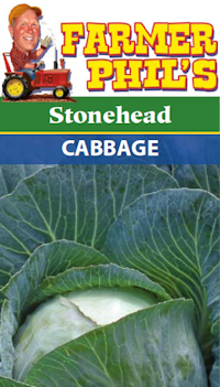 Stonehead Cabbage