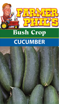 Farmer Phil's Bush Crop Cucumber