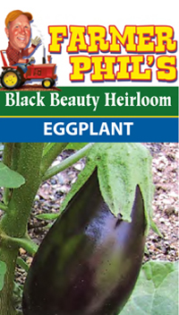 Farmer Phil's Black Beauty Heirloom Eggplant
