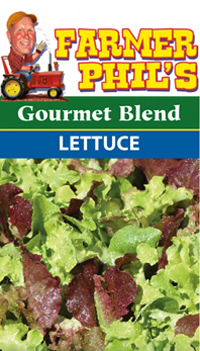 Farmer Phil's Gourmet Blend Lettuce
