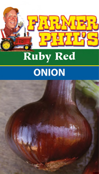Farmer Phil's Scallion Onion