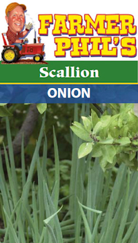 Farmer Phil's Scallion Onion