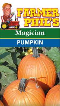 Farmer Phil's Magician Pumpkin