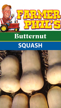 Farmer Phil's Butternut Squash