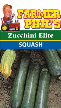 Zucchini Elite Squash