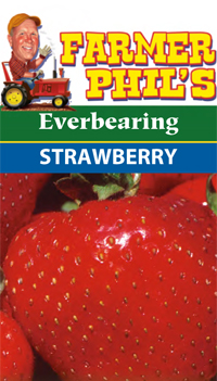 Farmer Phil's Everbearing Strawberry