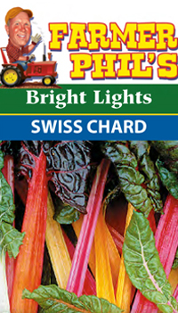 Farmer Phil's Swiss Chard Bright Lights