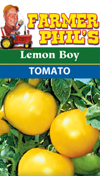 Farmer Phil's Lemon Boy Tomato