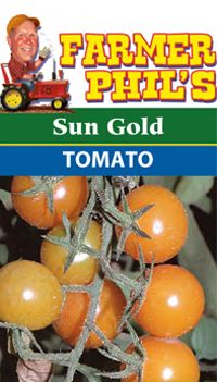 Sun Gold Tomato
